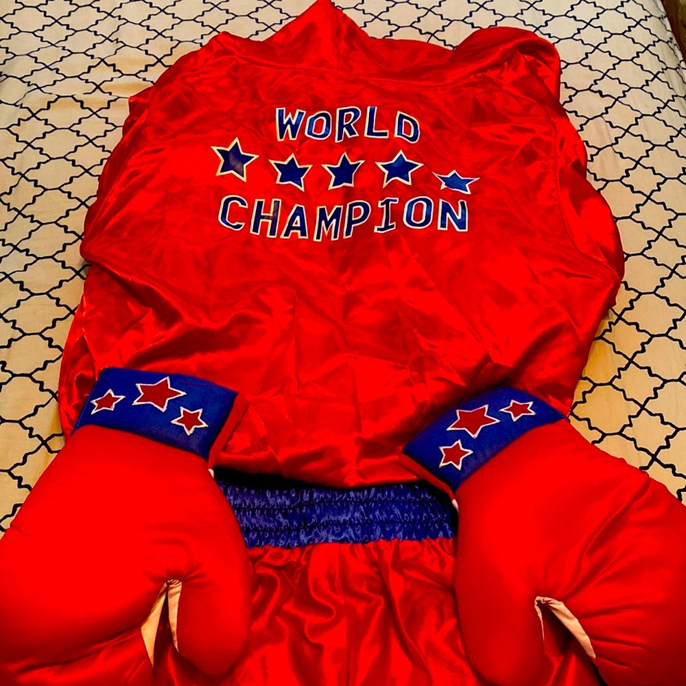 Boxer costume adult men